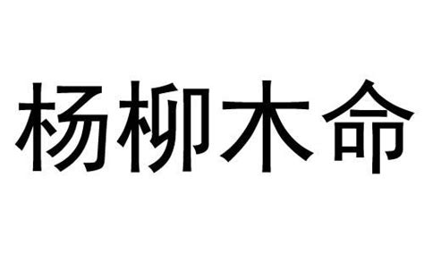 楊柳木命意思|八字納音五行解析——楊柳木